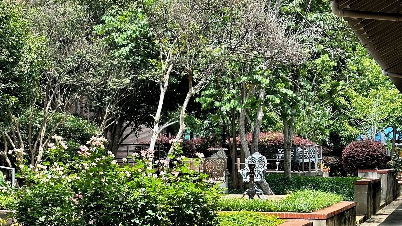 Photo of Outdoor in Natchez