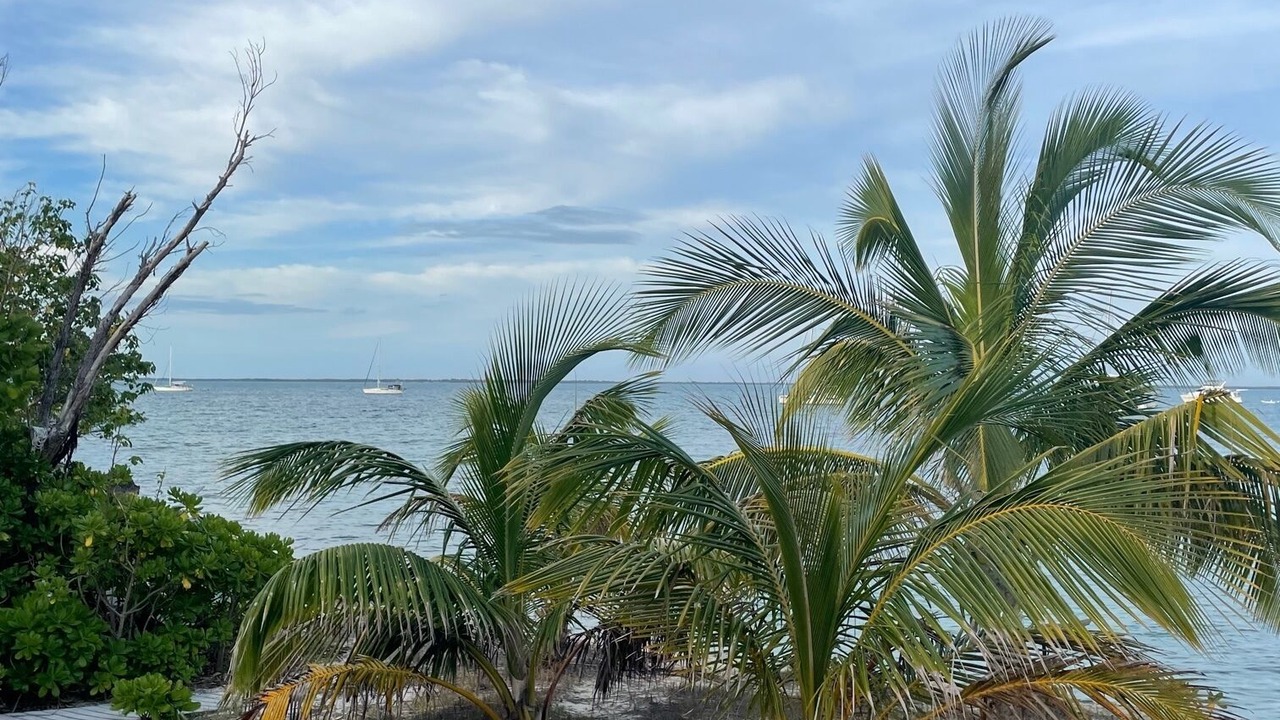 Photo of Outdoor in Green Turtle Cay