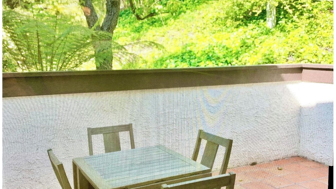 Photo of Outdoor in Palisades Highlands