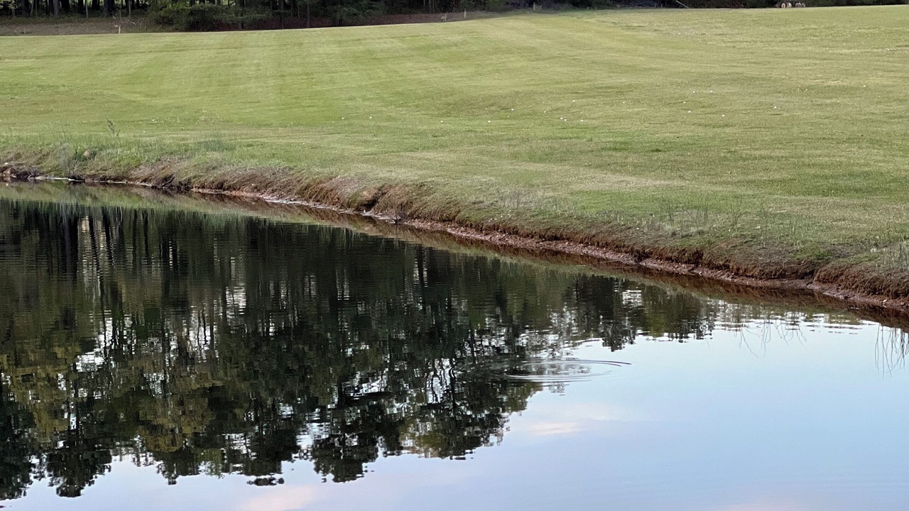 Photo of Outdoor in Lemon Springs