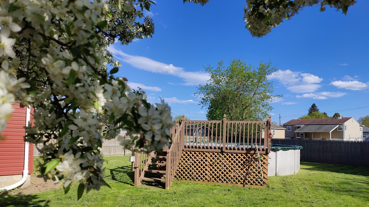 Photo of Outdoor in Elmira