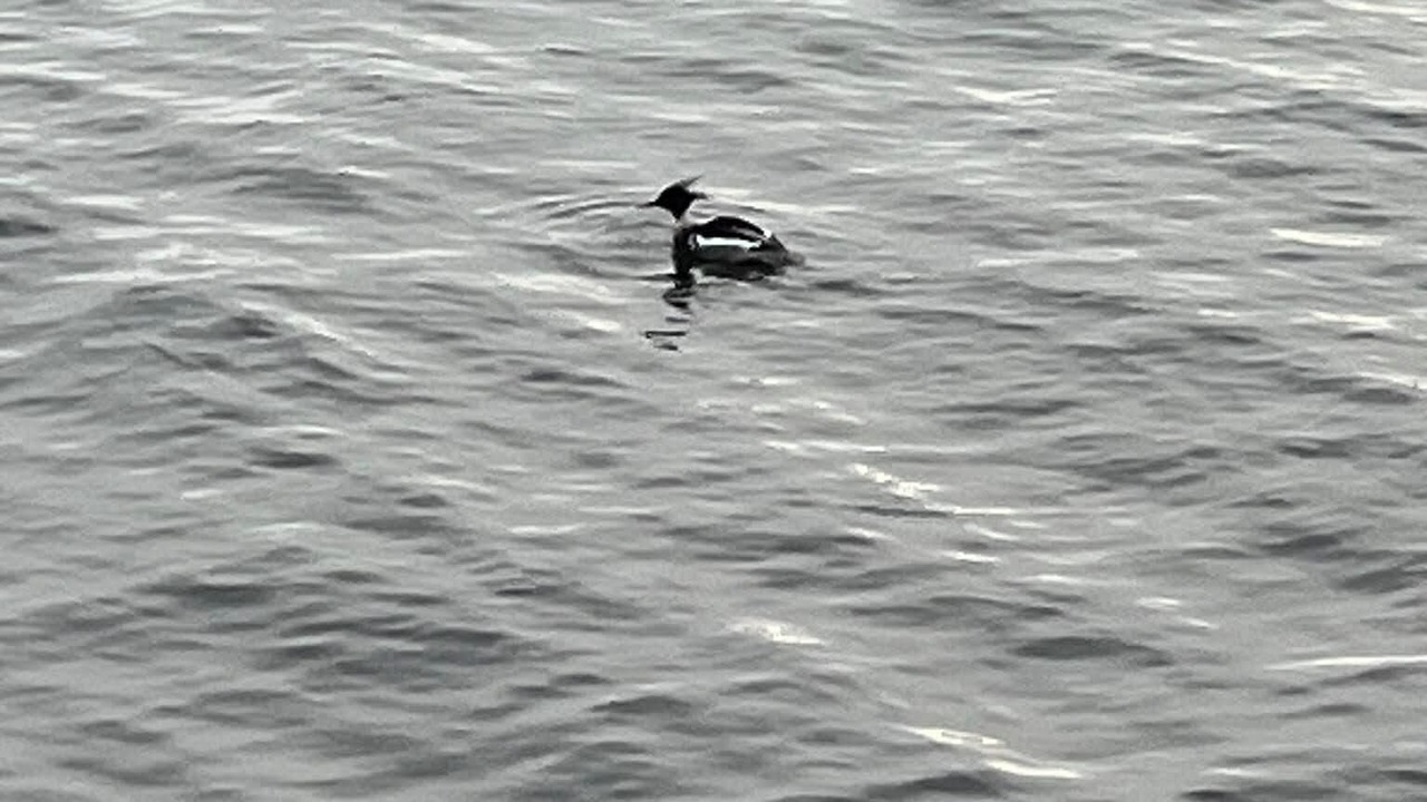 Photo of Others in Poplar Ridge