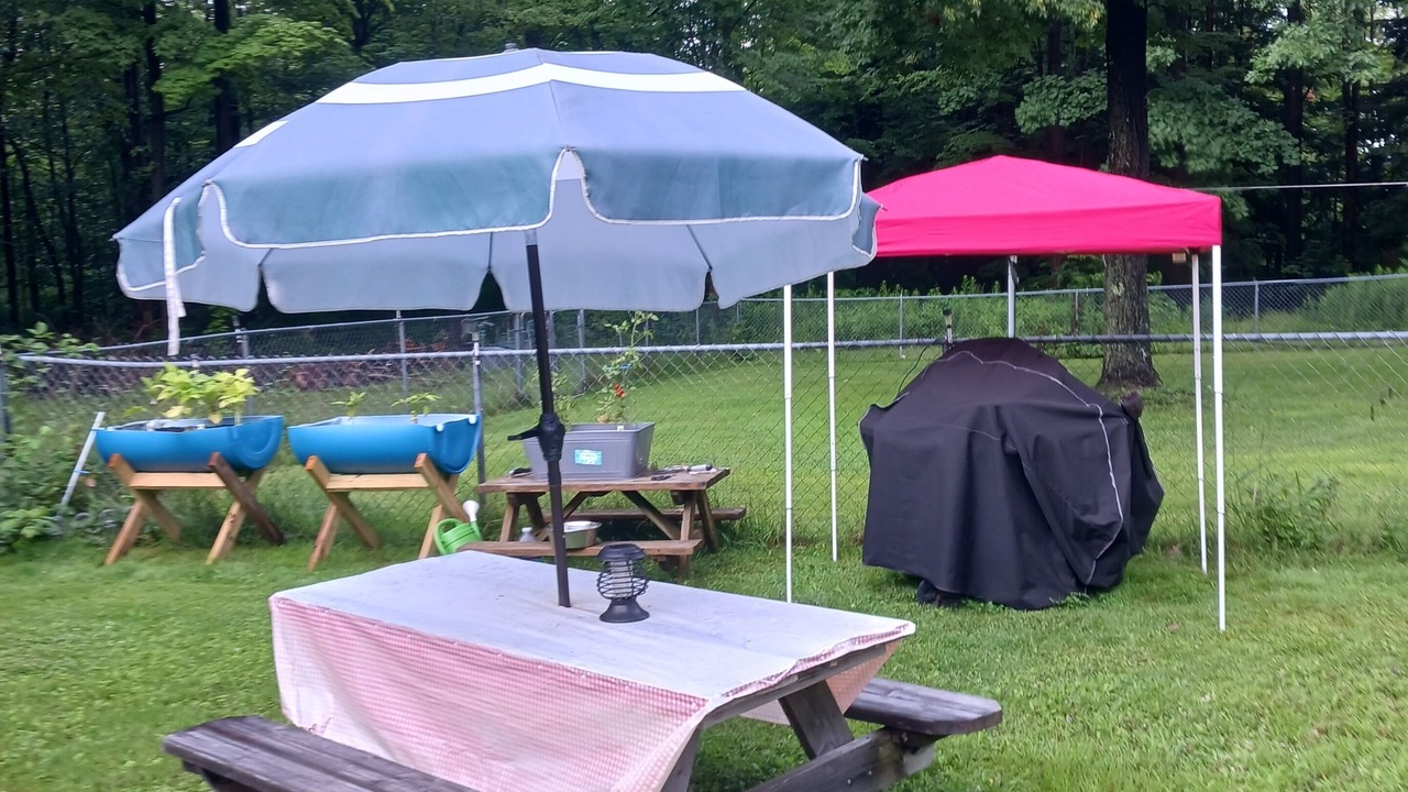 Photo of Outdoor in Forestville