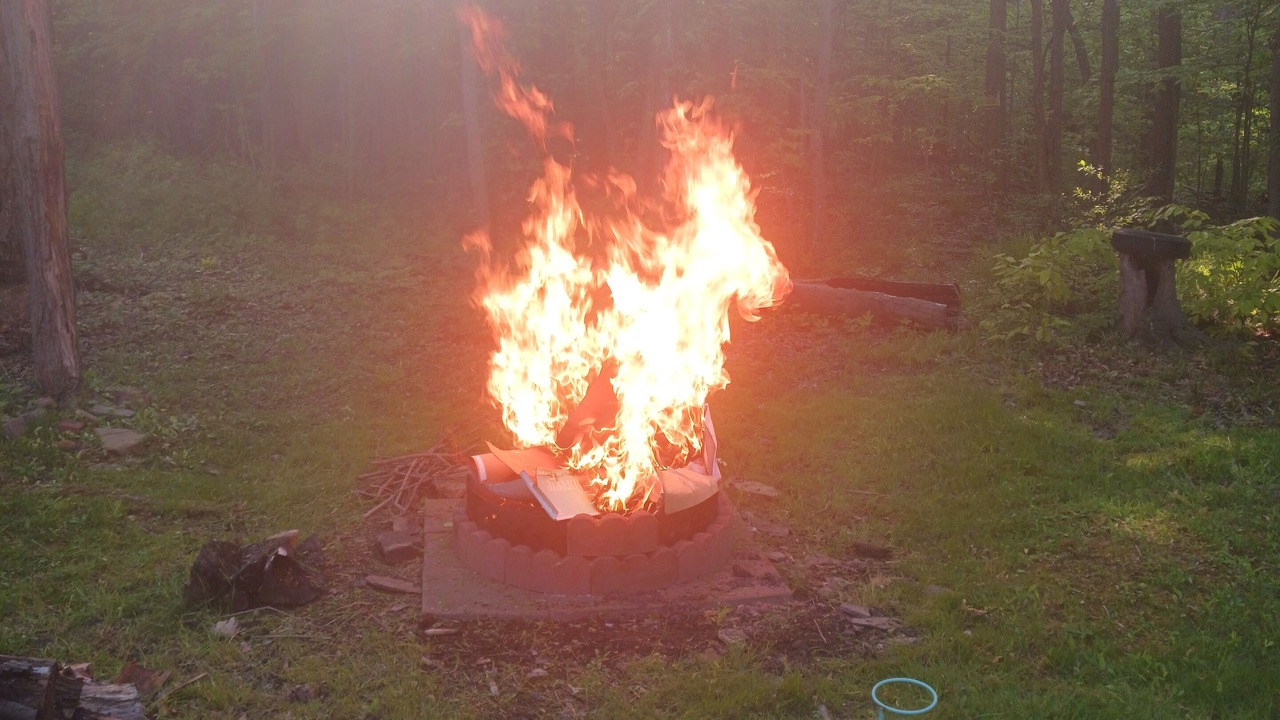 Photo of Outdoor in Forestville
