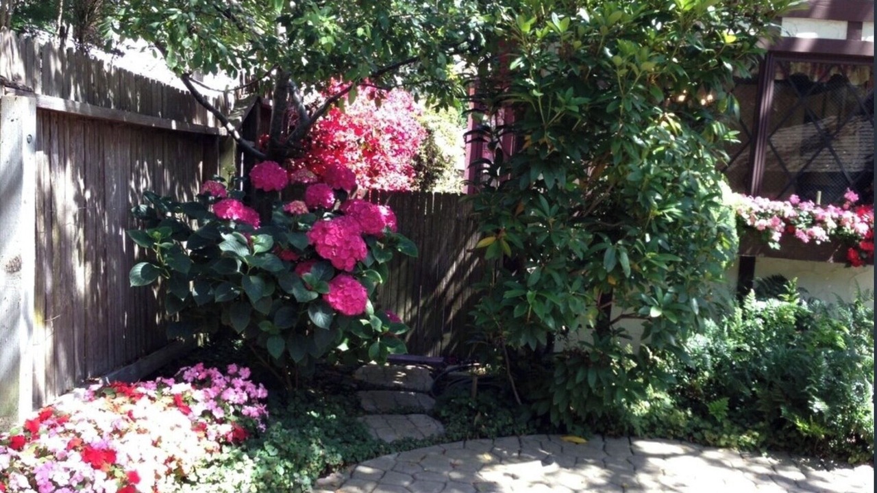 Photo of Outdoor in Hatton Fields