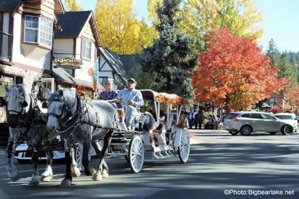 Photo of Others in Big Bear City