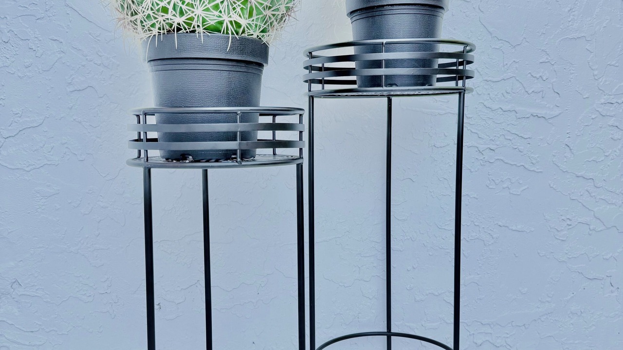 Photo of Outdoor in Coral Way