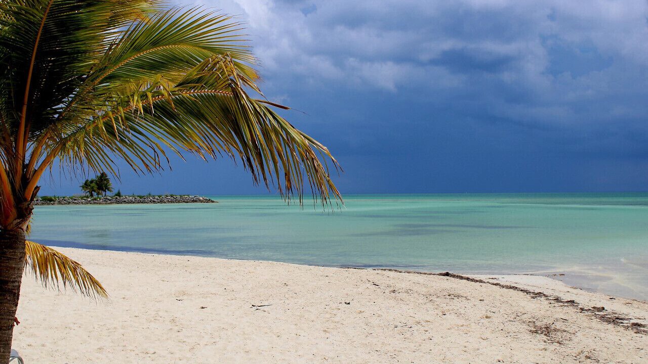 Photo of Others in Bahamia West