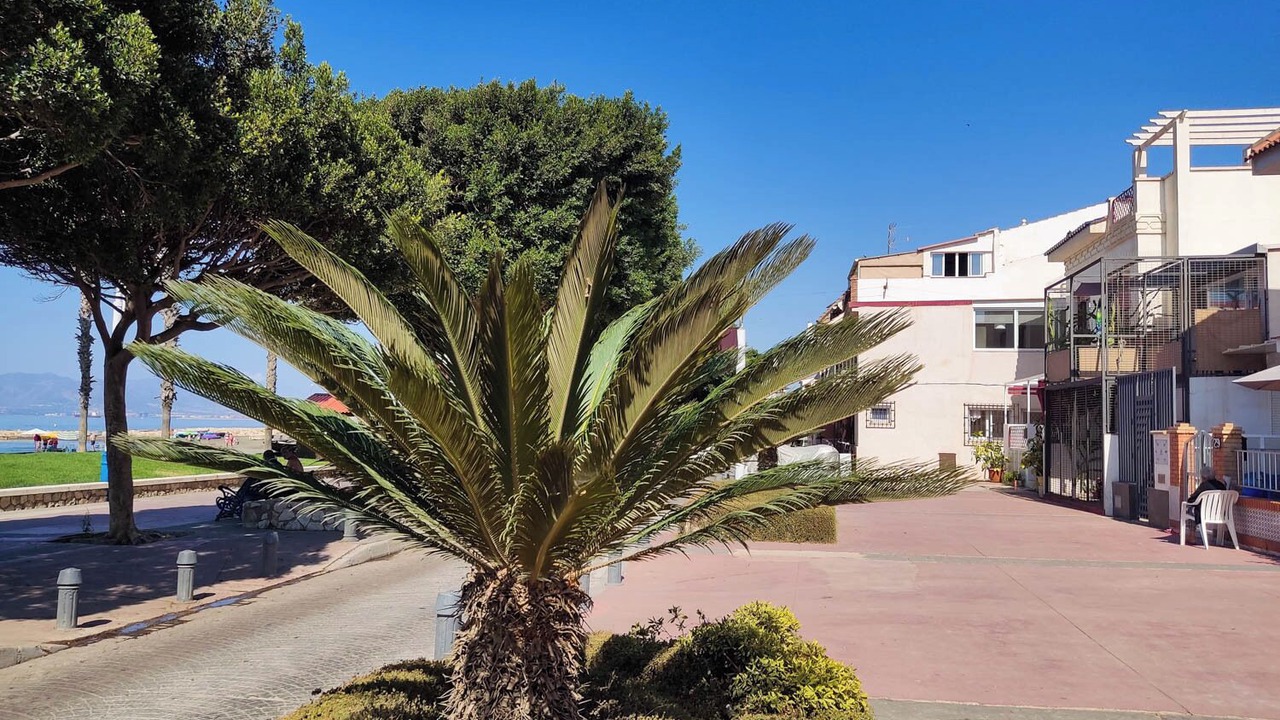 Photo of Outdoor in El Palo