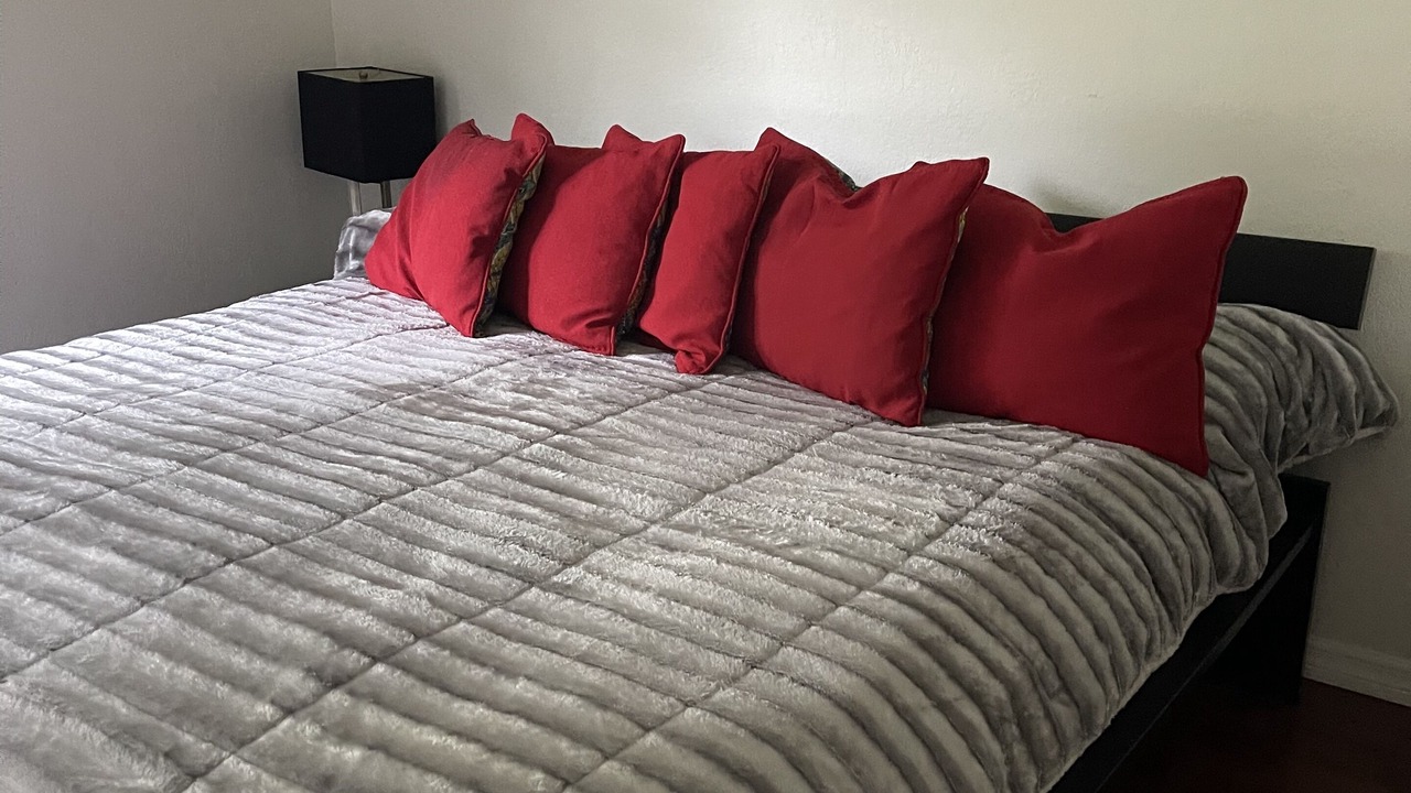 Photo of Bedroom in Wesley Chapel