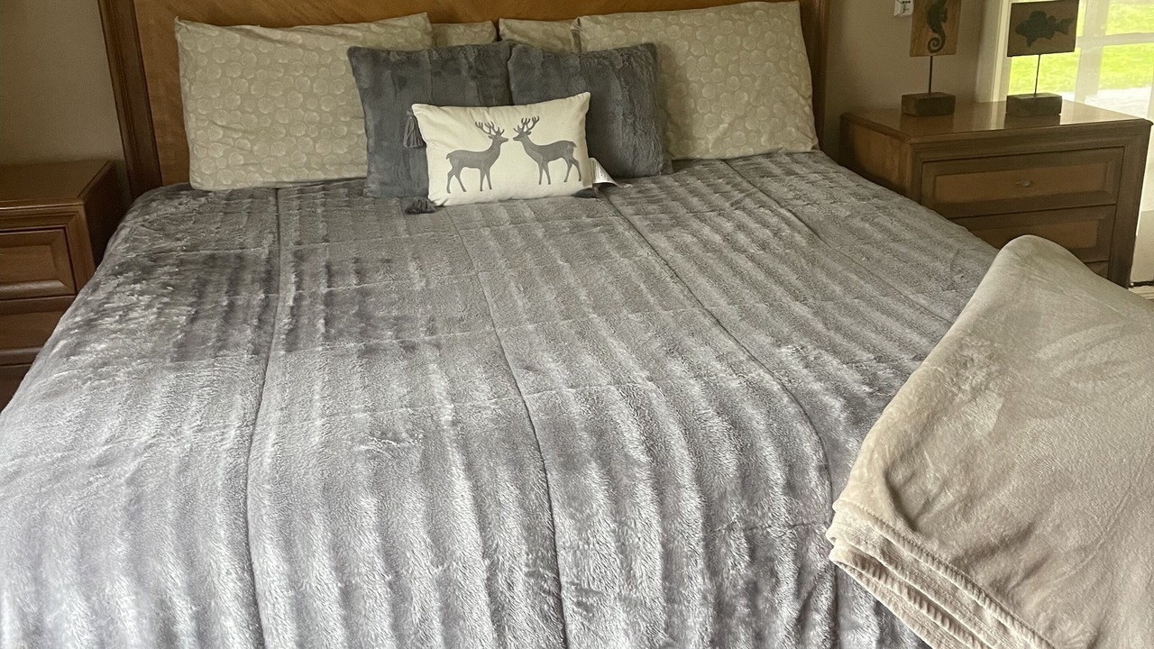 Photo of Bedroom in Wesley Chapel