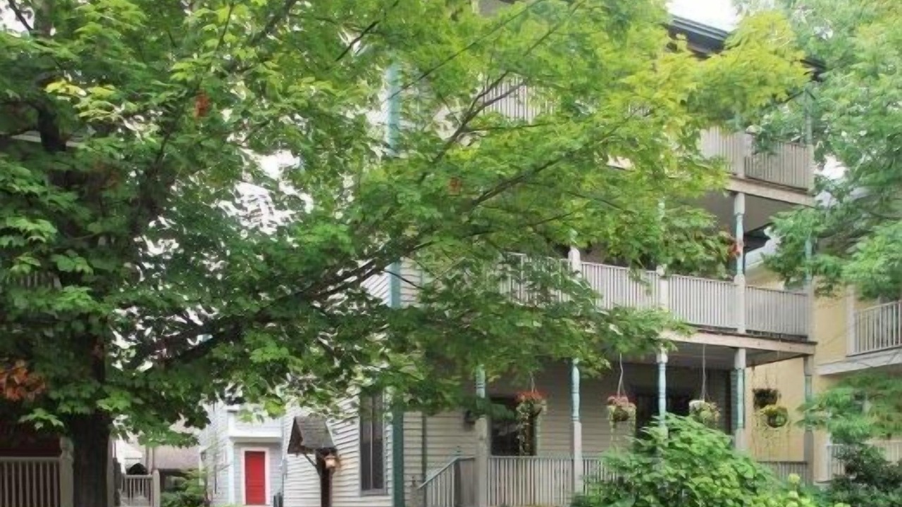 Photo of Outdoor in Chautauqua