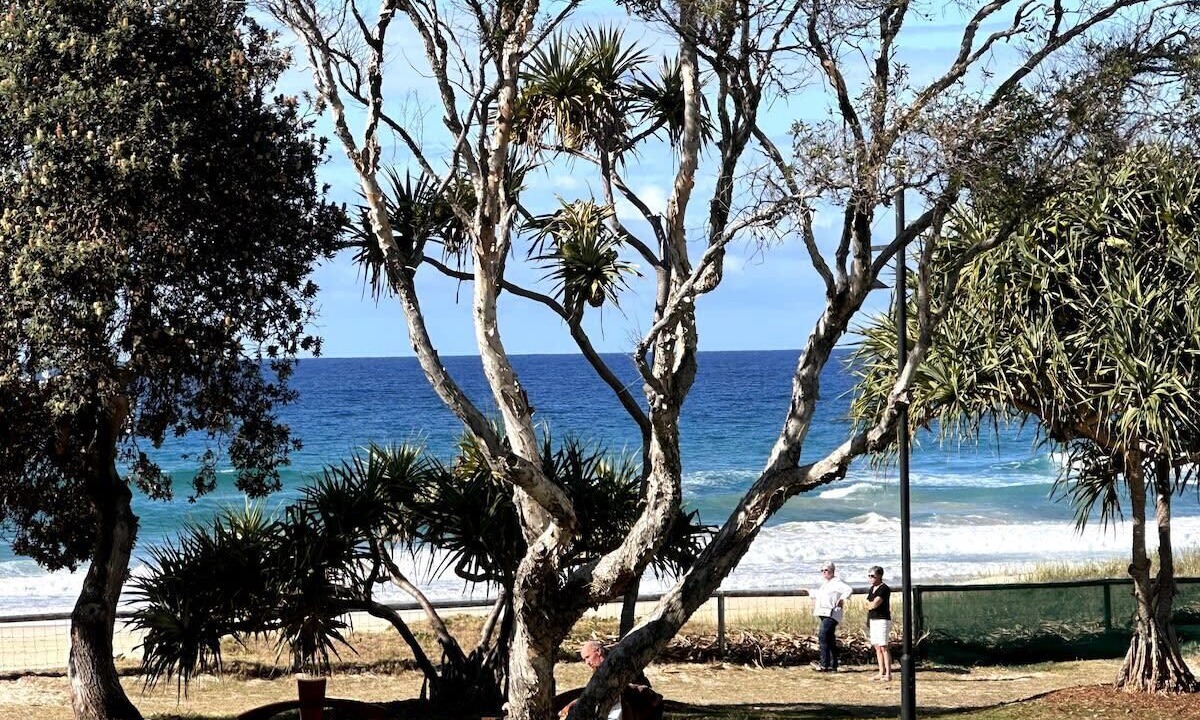 Photo of Others in Currumbin