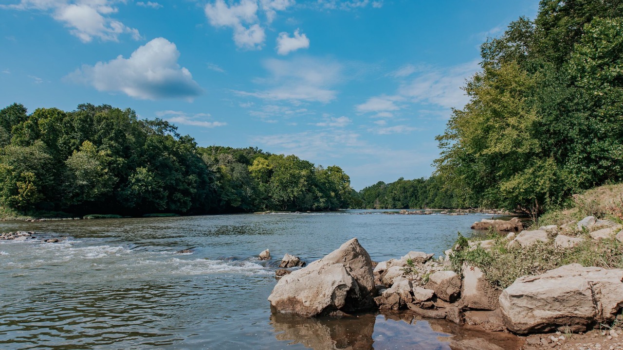 Photo of Others in Silver Creek