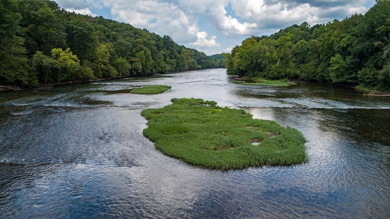 Photo of Others in Silver Creek