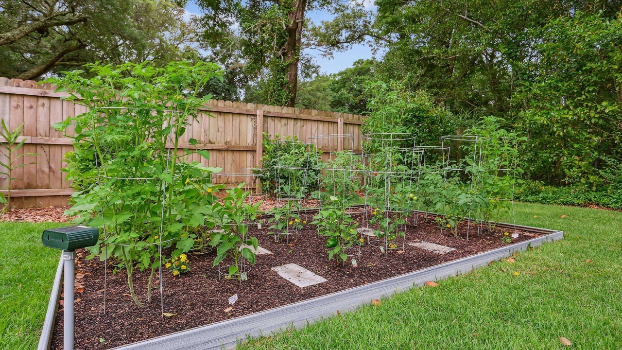 Photo of Outdoor in Northeast Pensacola