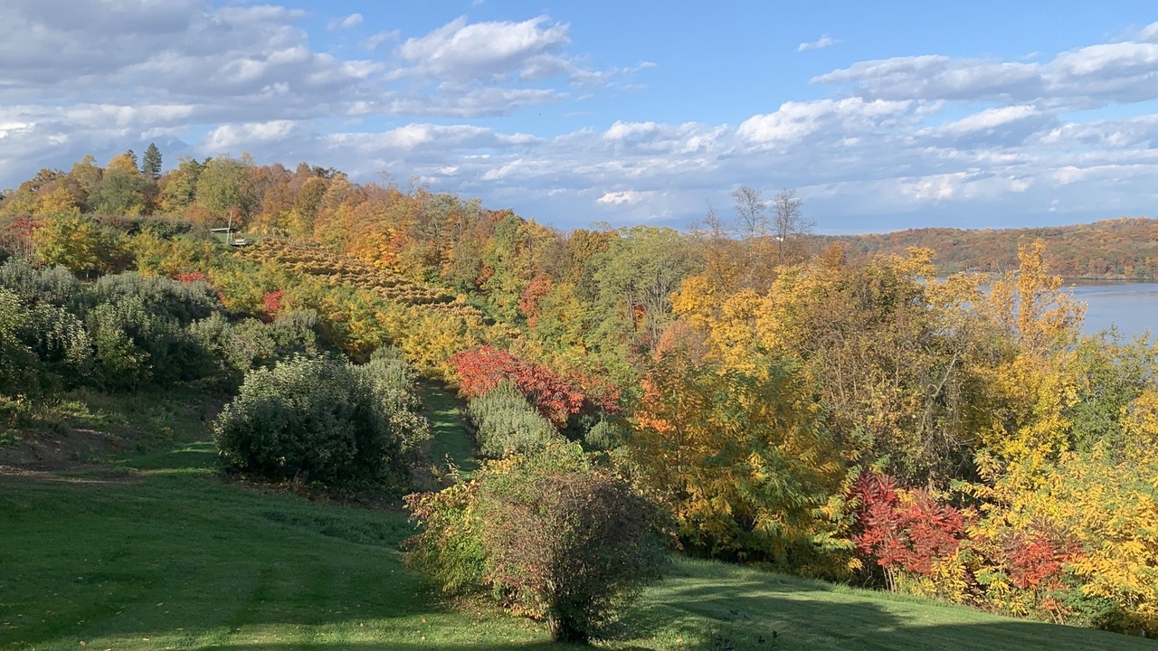 Photo of Outdoor in Milton