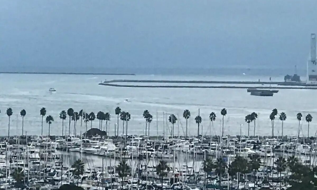 Photo of Others in Alamitos Beach