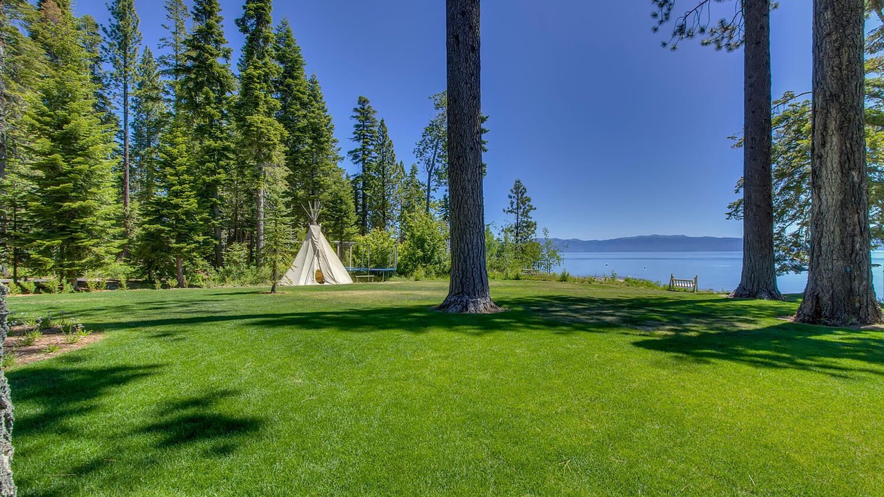 Photo of Others in Tahoe City