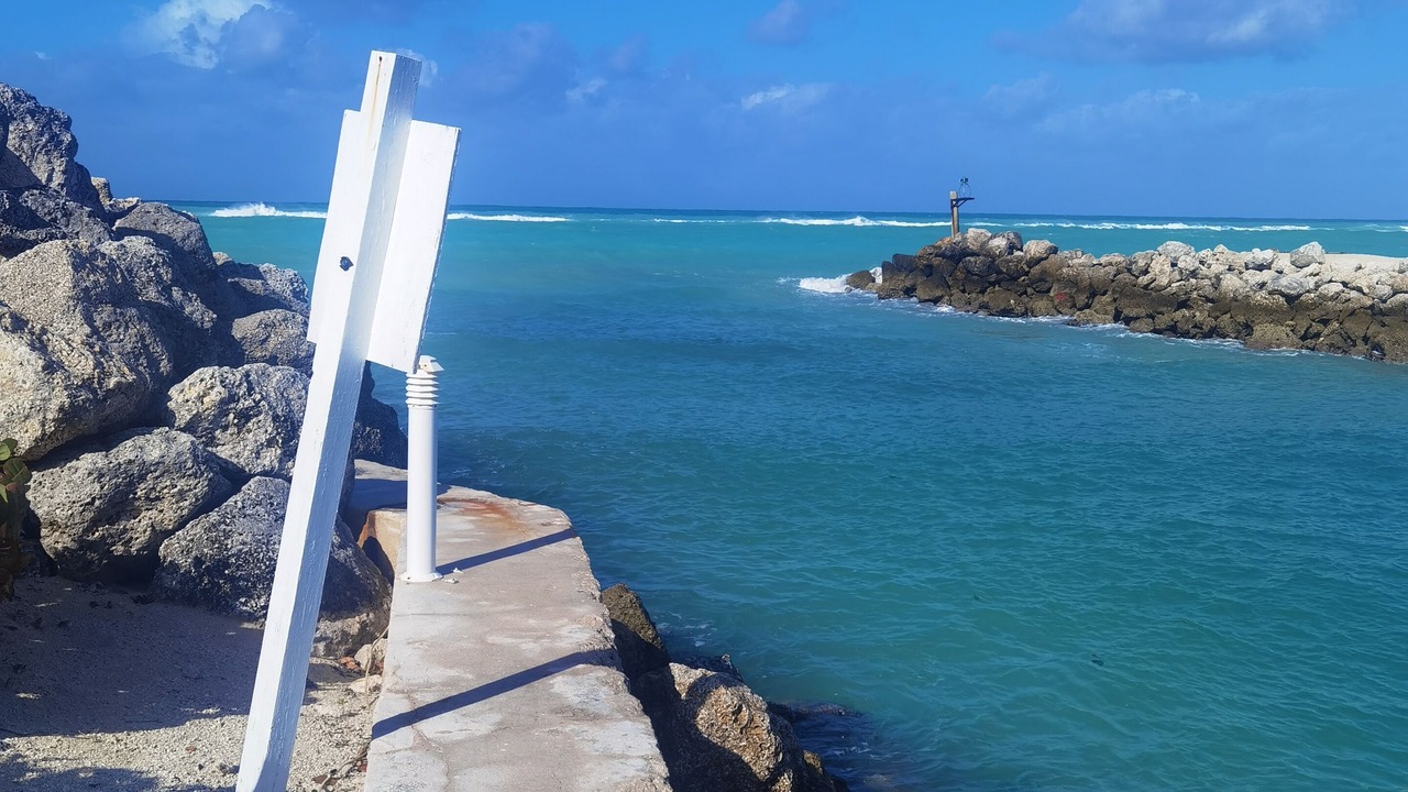 Photo of Others in South Bimini