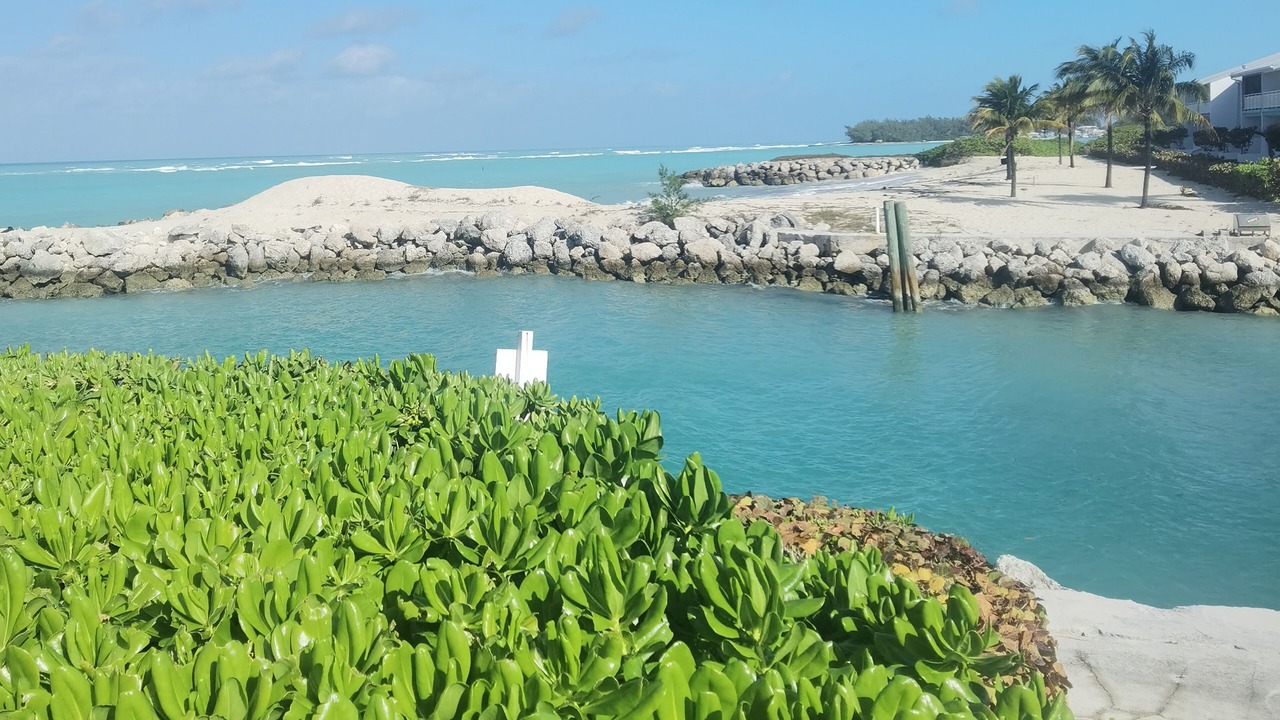 Photo of Others in South Bimini