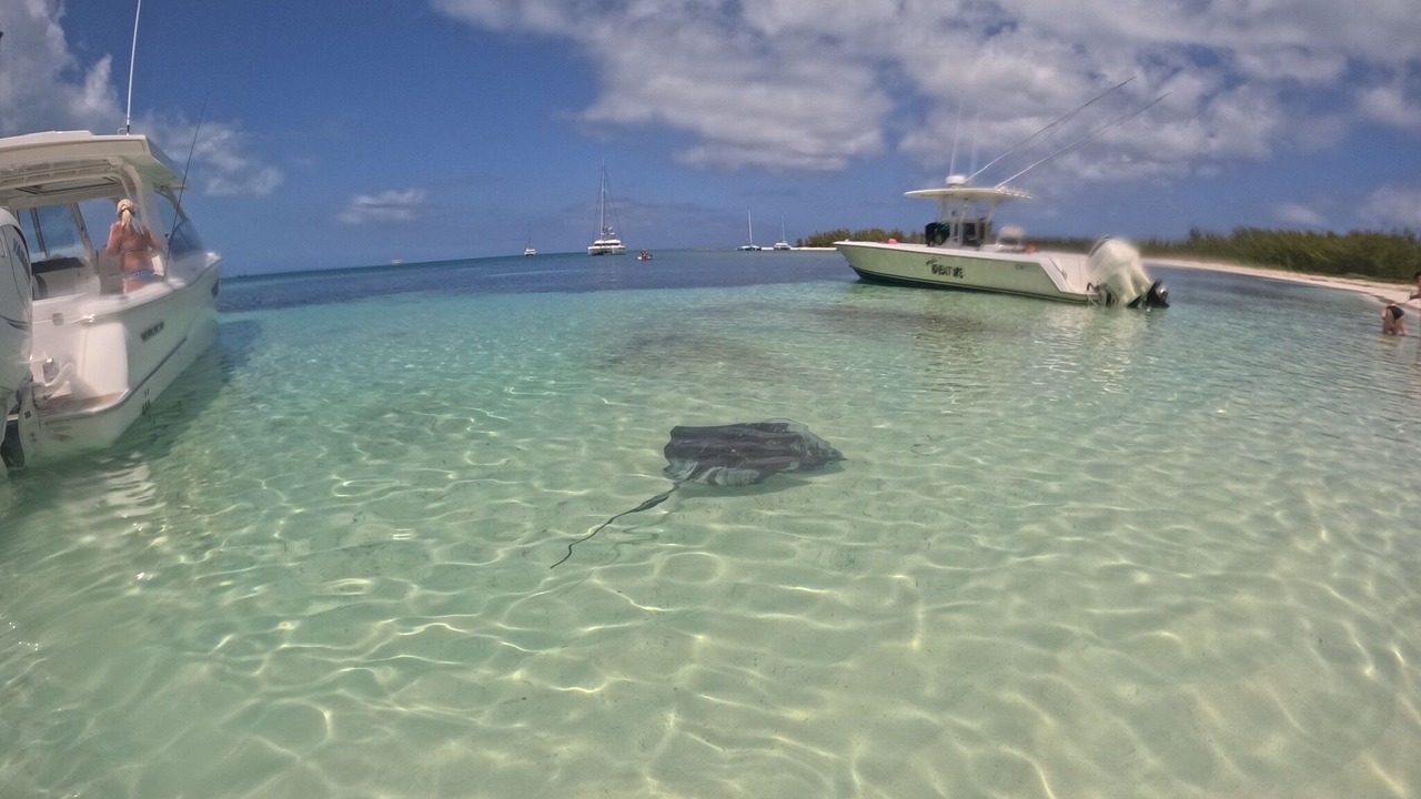 Photo of Others in Lubbers Quarters Cay
