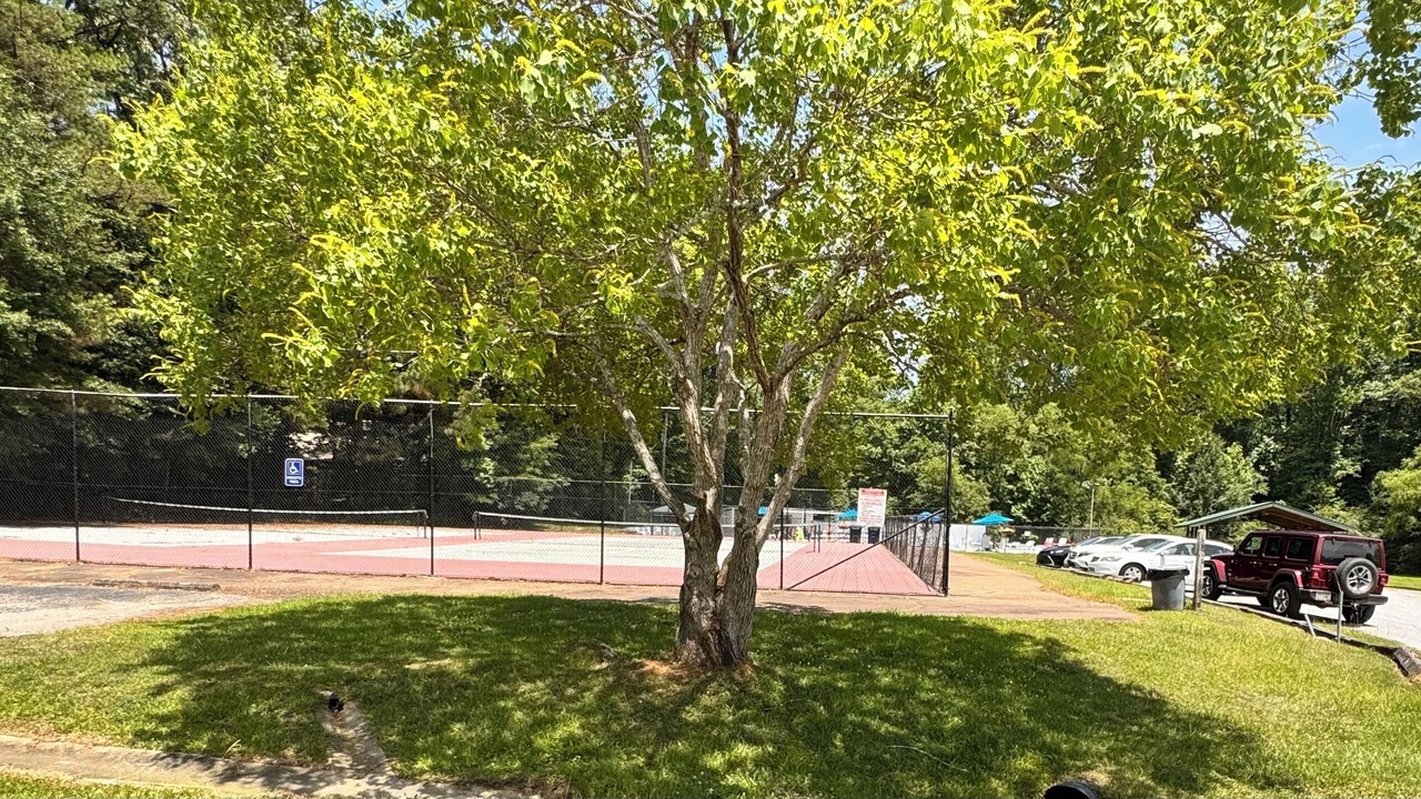 Photo of Others in Northport