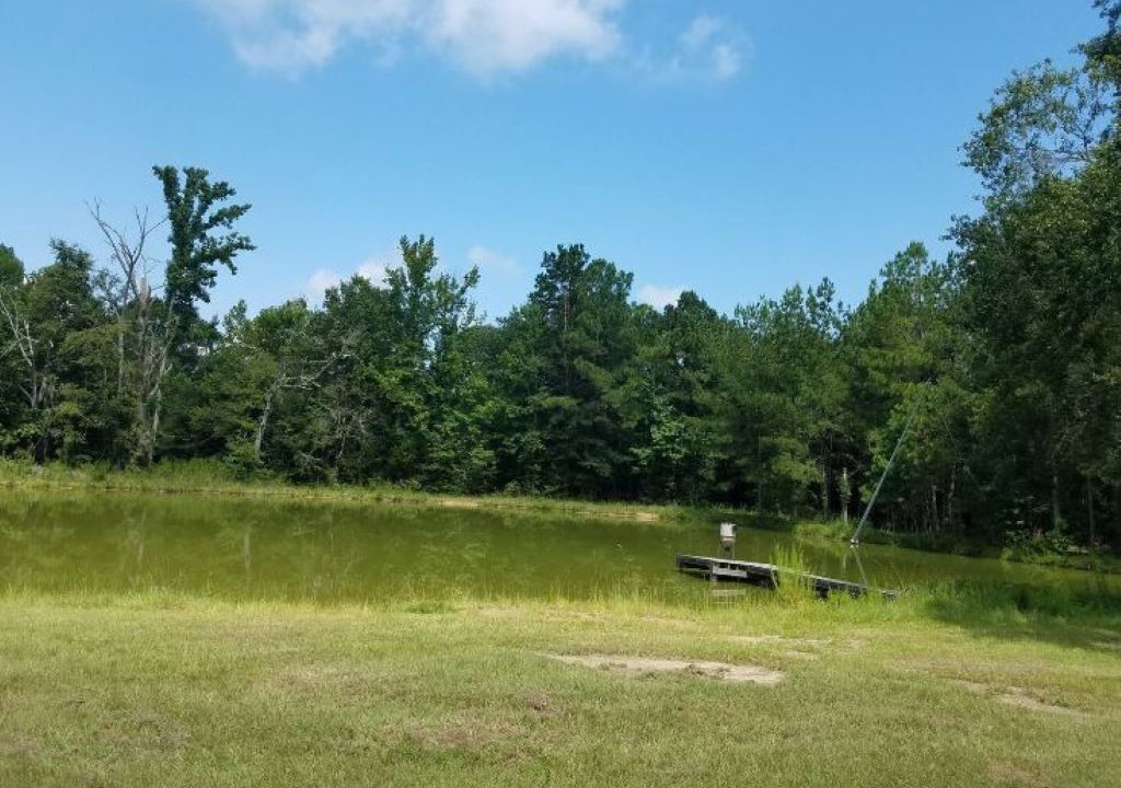 Photo of Others in Letohatchee