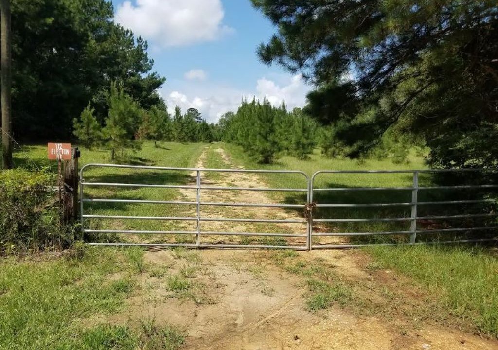 Photo of Outdoor in Letohatchee