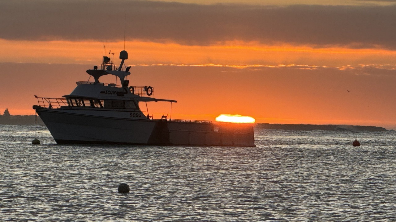 Photo of Others in Port Macdonnell