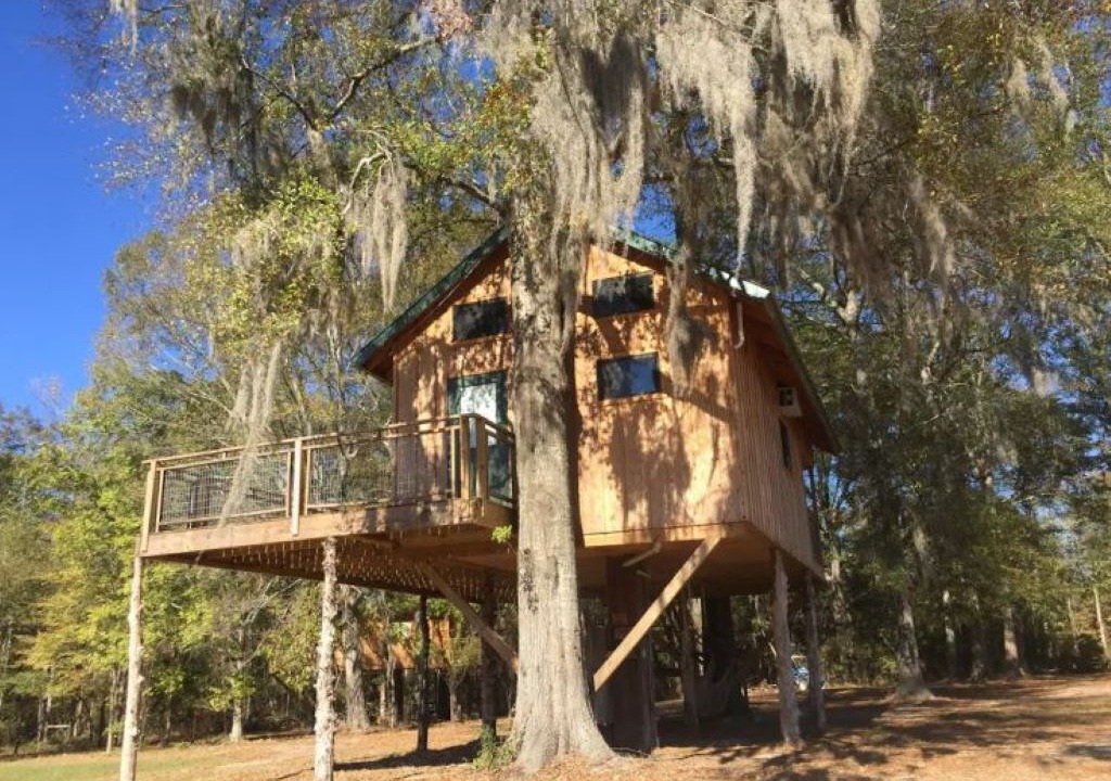 Photo of Outdoor in Letohatchee