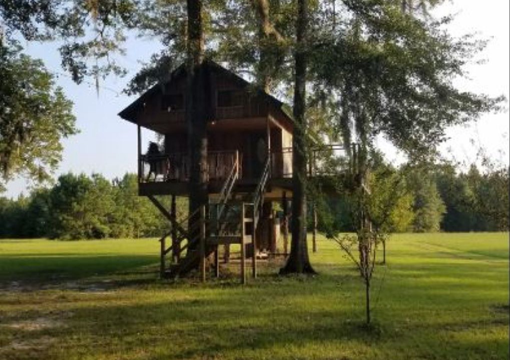Photo of Outdoor in Letohatchee