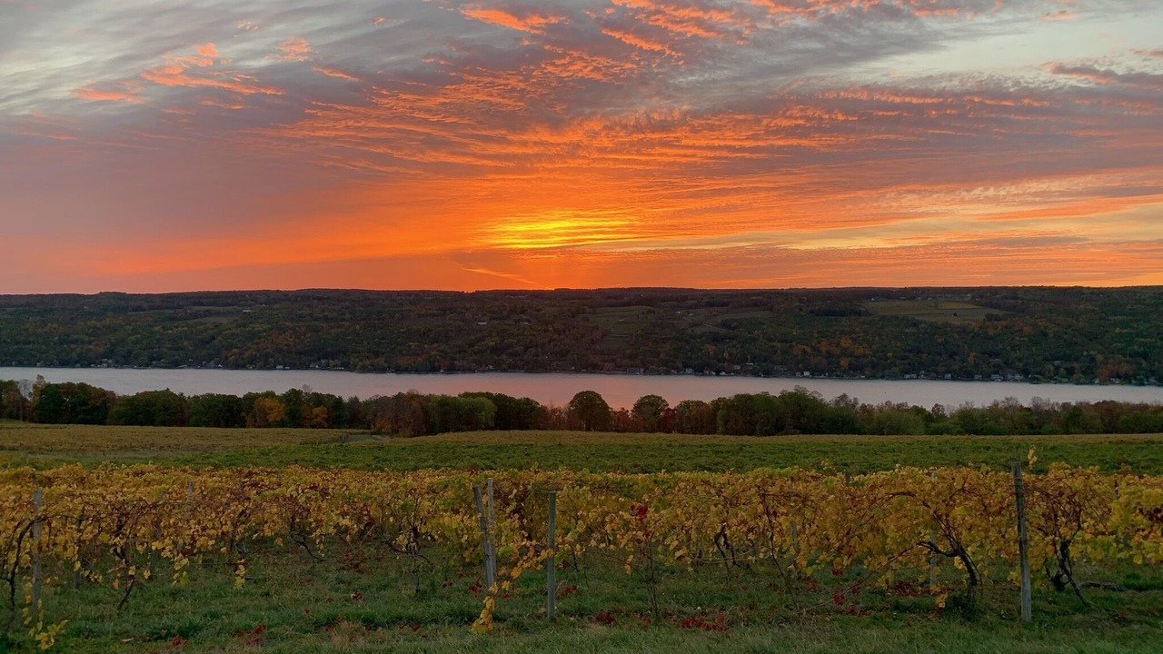 Photo of Others in Hammondsport