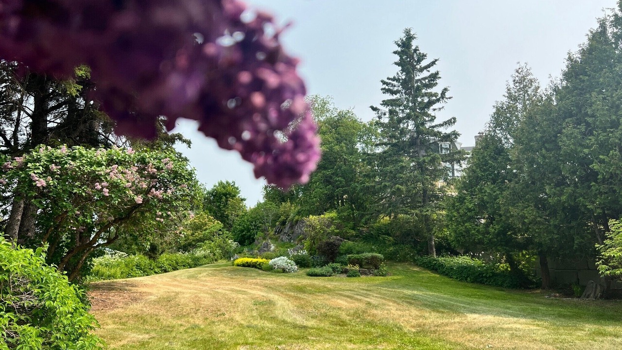 Photo of Outdoor in Pointe-au-Pic
