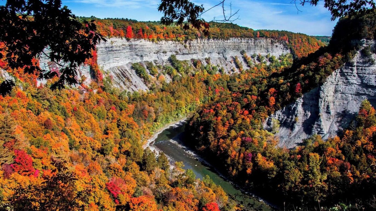 Photo of Others in Mount Morris