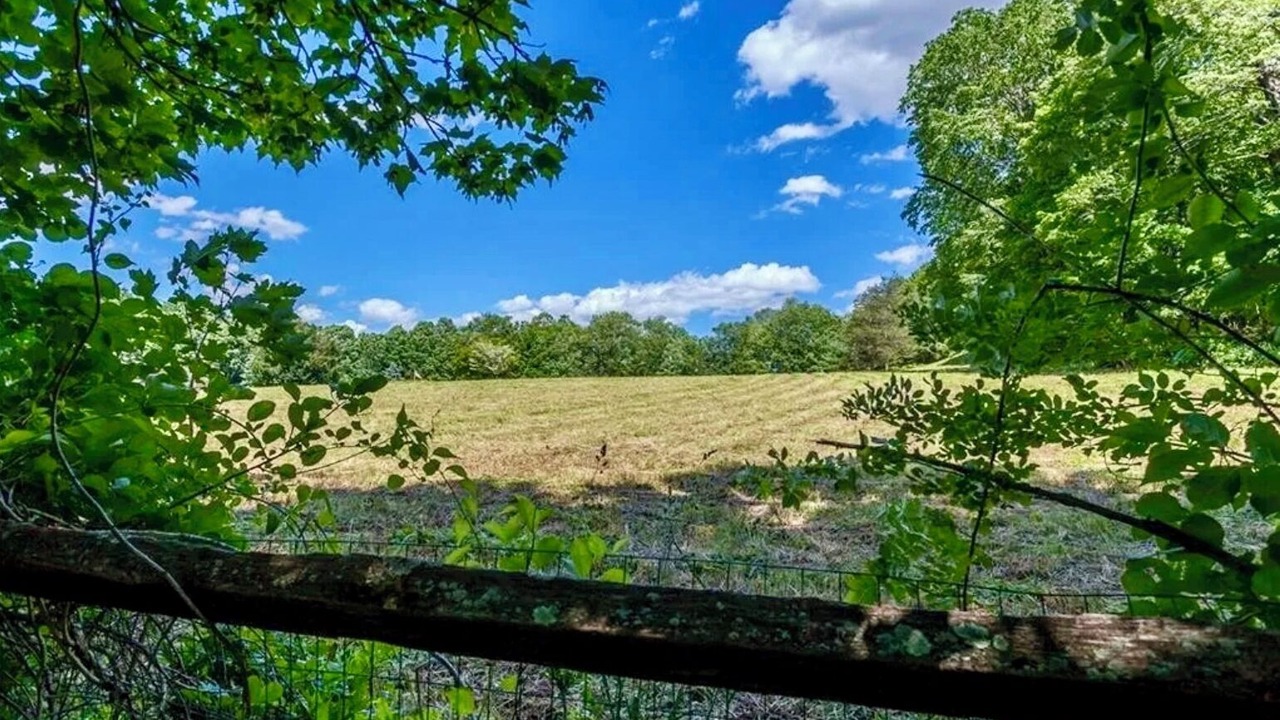 Photo of Outdoor in Sherman