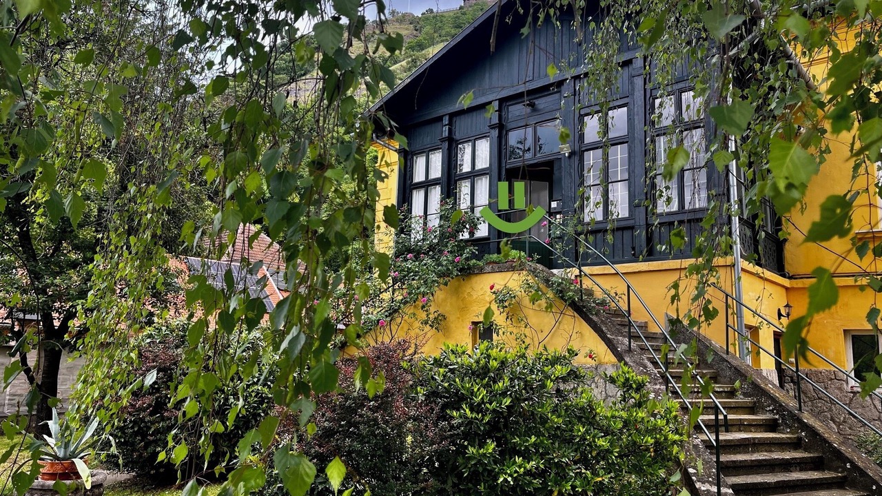 Photo of Outdoor in Szentendrei