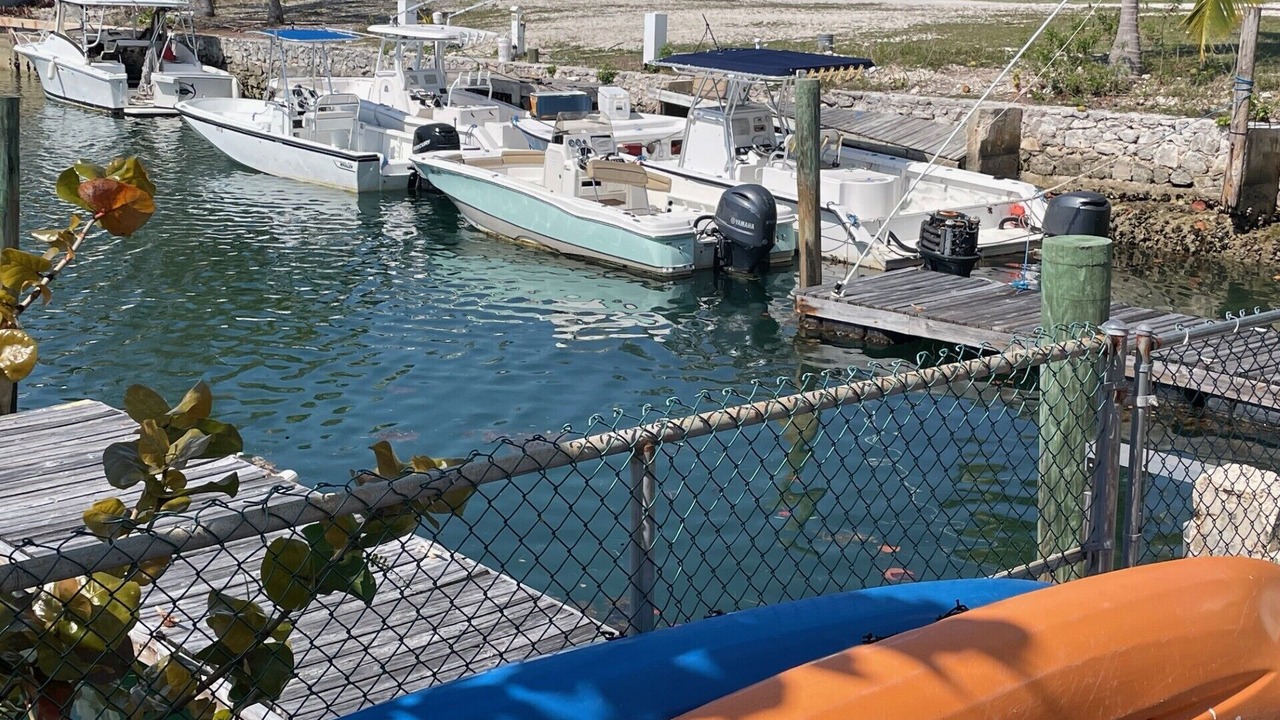 Photo of Others in Bell Channel Bay