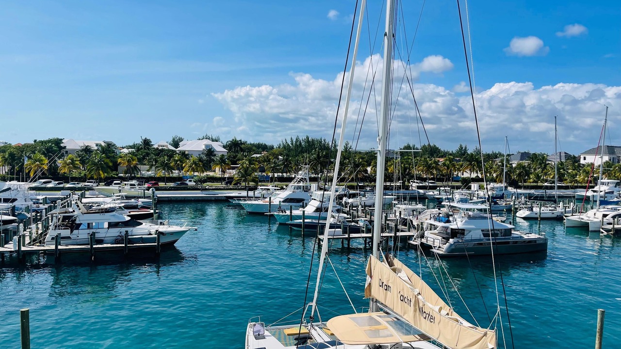Photo of Others in Palm Cay