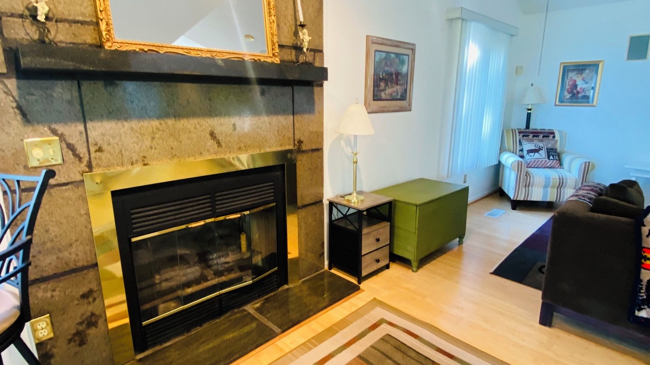 Photo of Livingroom in Dan River