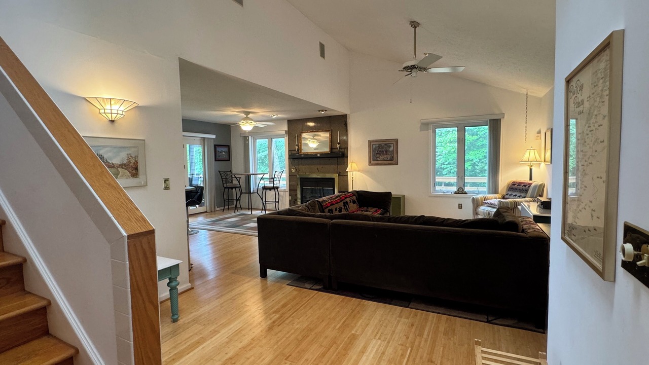 Photo of Livingroom in Dan River
