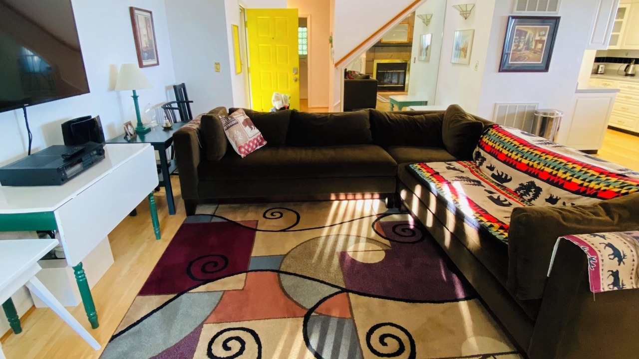 Photo of Livingroom in Dan River