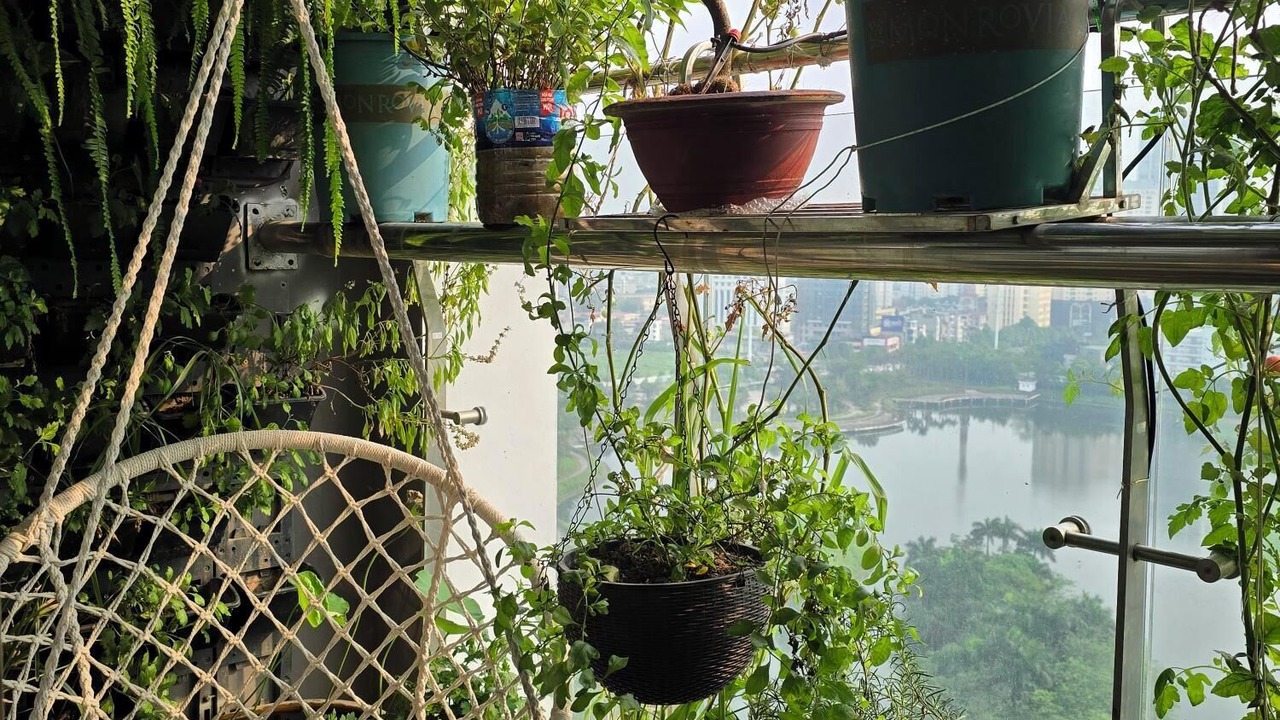 Photo of Outdoor in Thanh Xuan