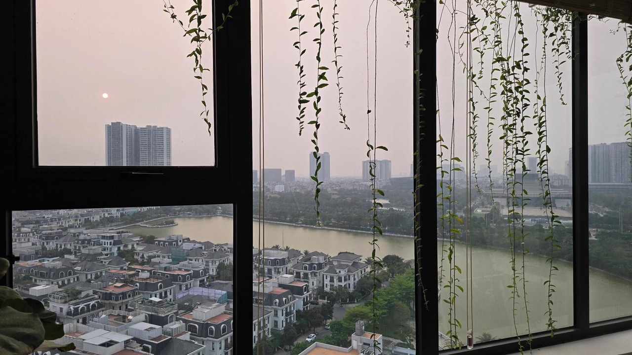 Photo of Others in Thanh Xuan