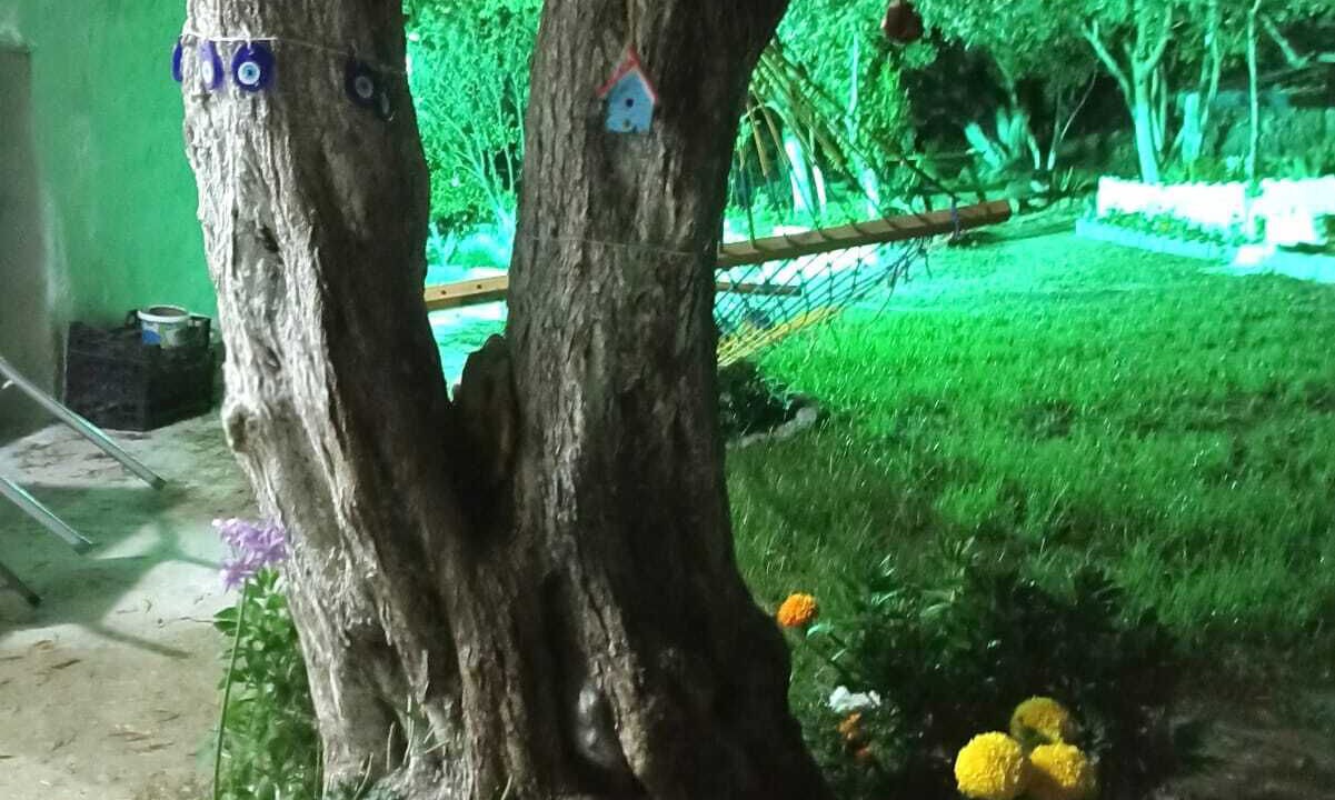 Photo of Outdoor in Gullubahce