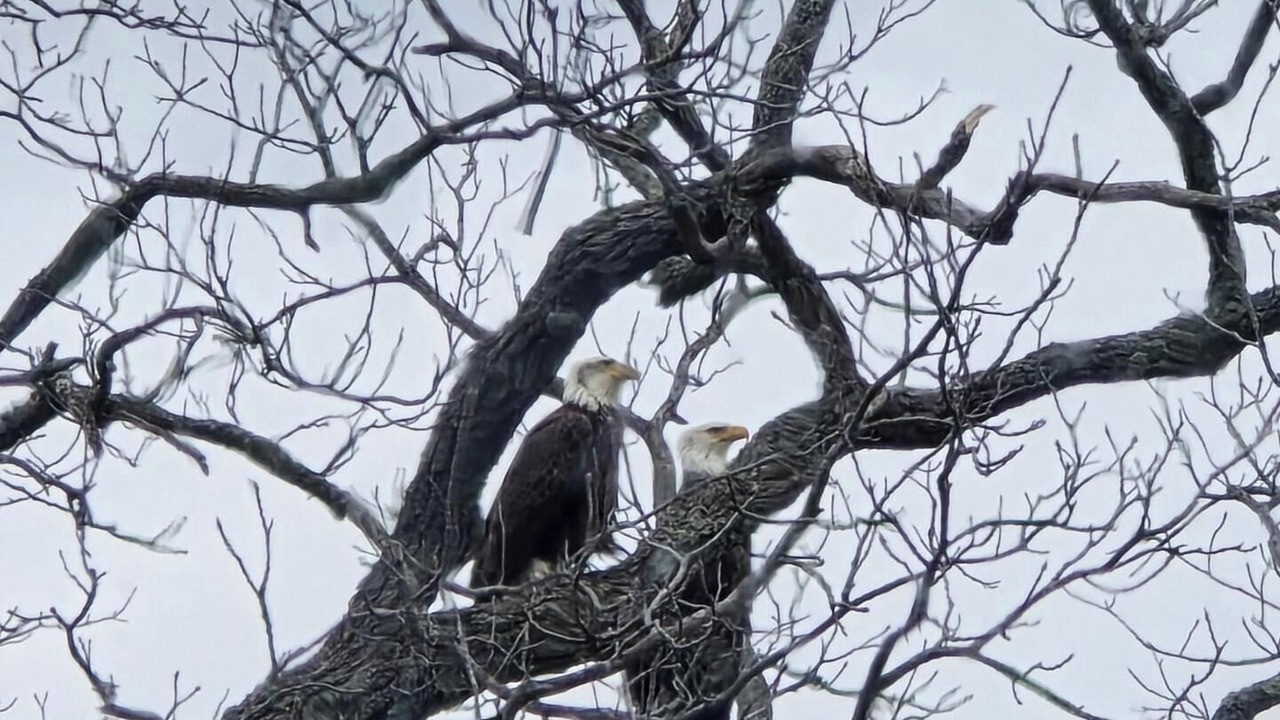 Photo of Others in Valois