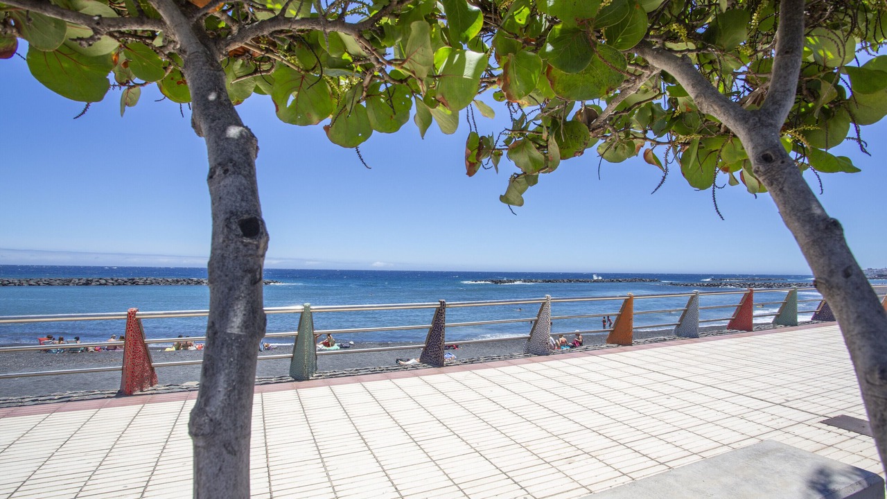 Photo of Others in Puerto de Guimar