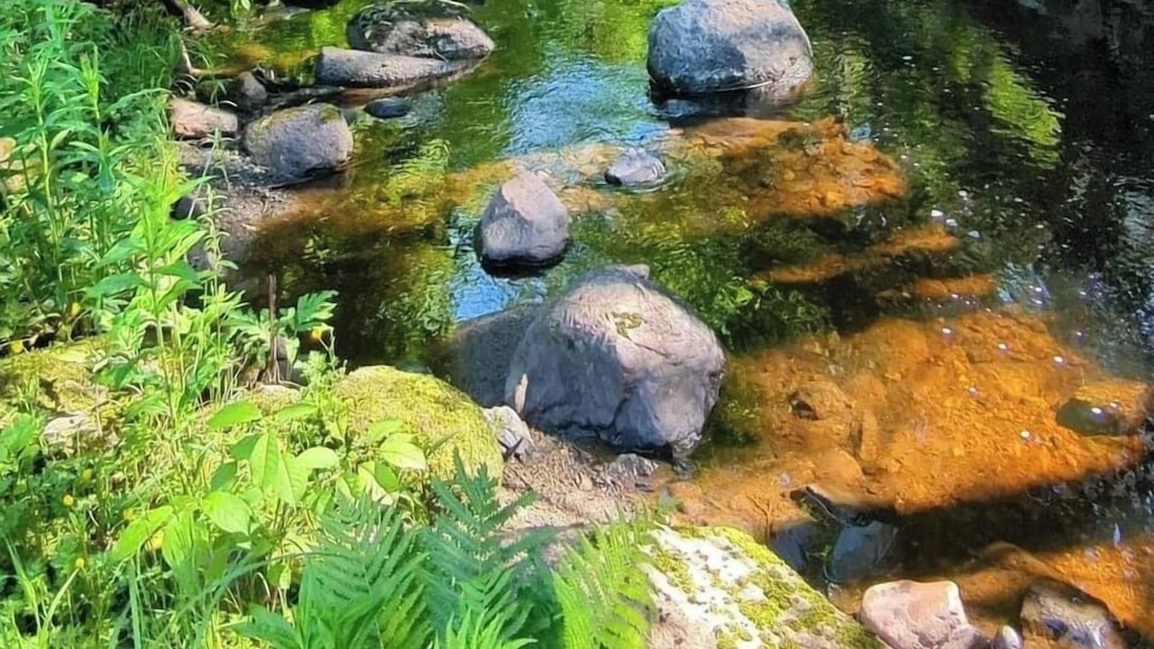 Photo of Outdoor in Saint David
