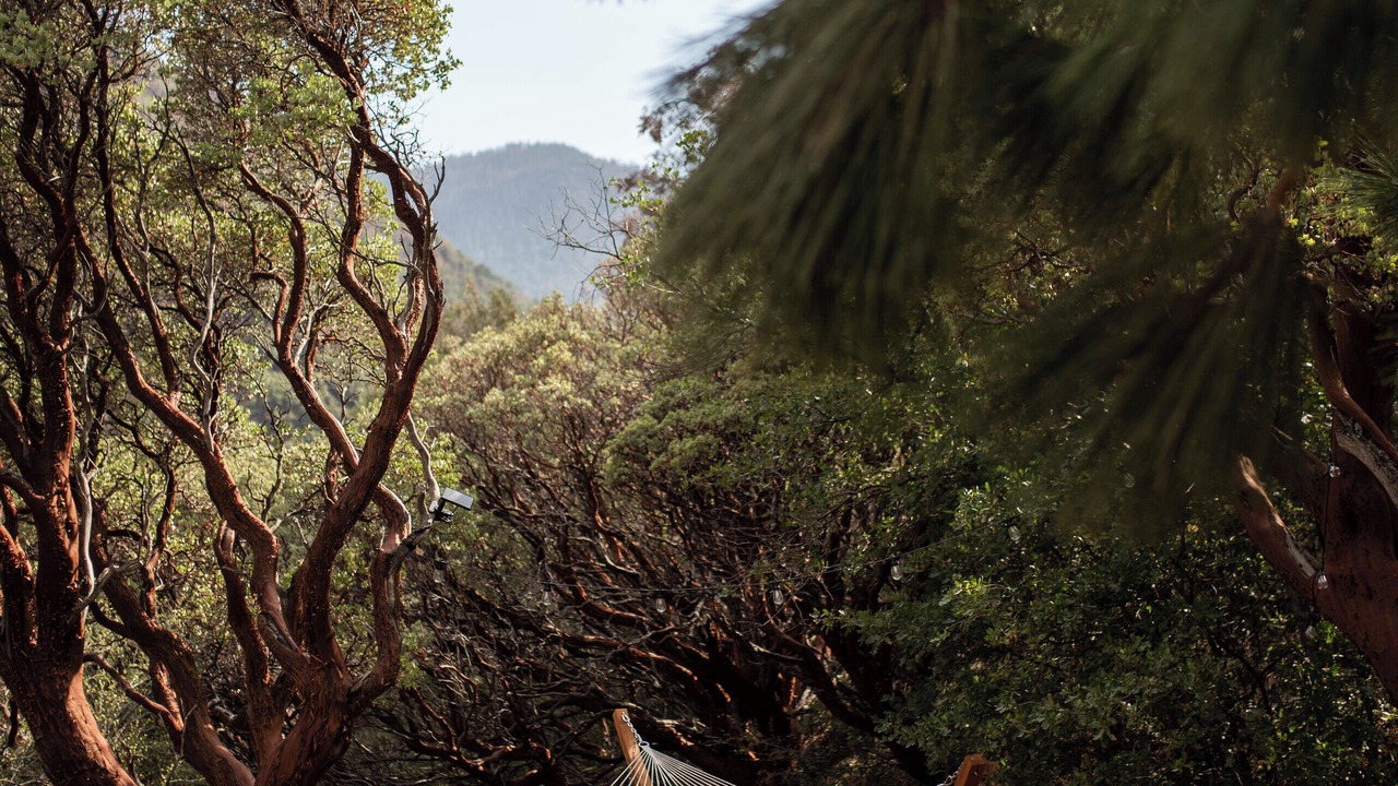 Photo of Outdoor in Camp Nelson