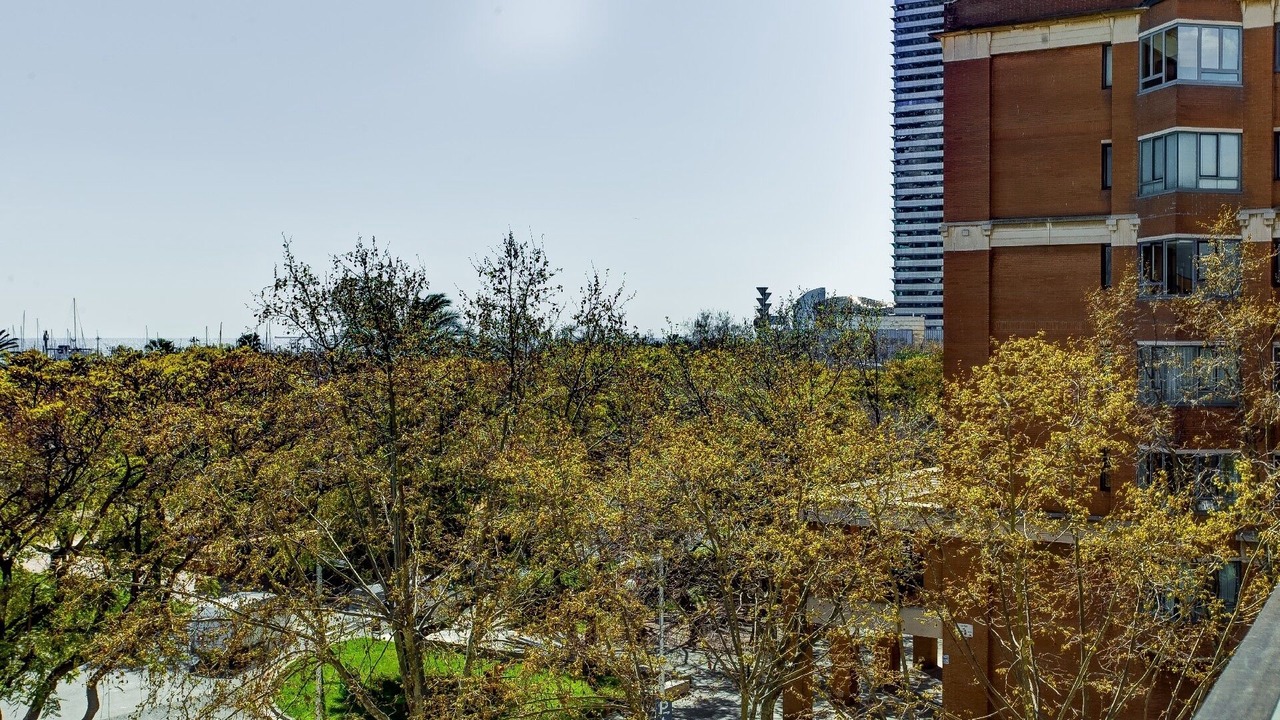 Photo of Outdoor in La Vila Olimpica del Poblenou